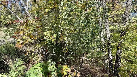 212 Hillcrest Drive Johnson VT 05656