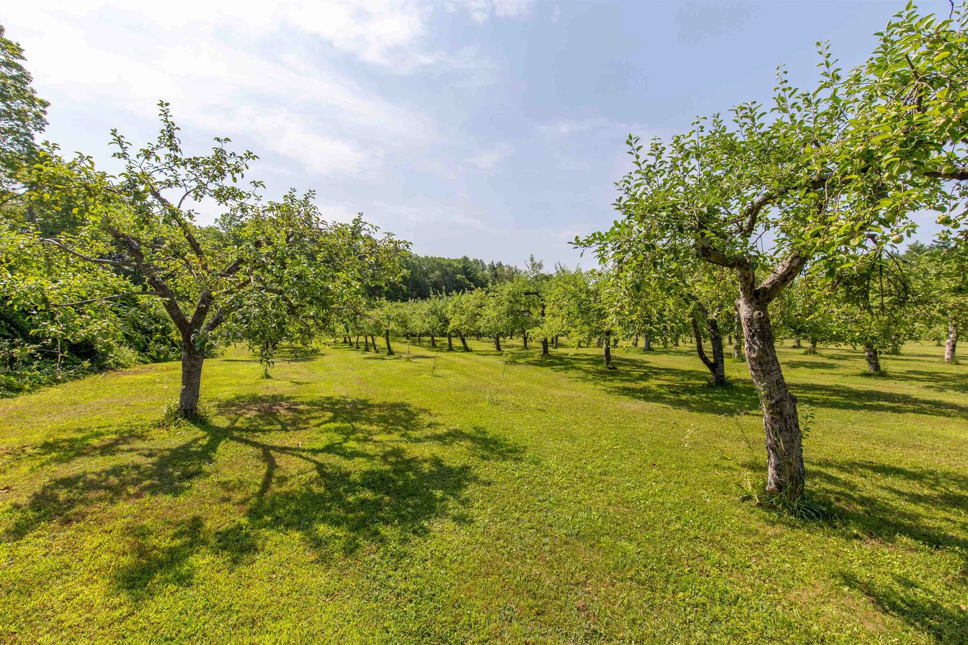 55 Hollow Hill Road Tamworth NH 03886