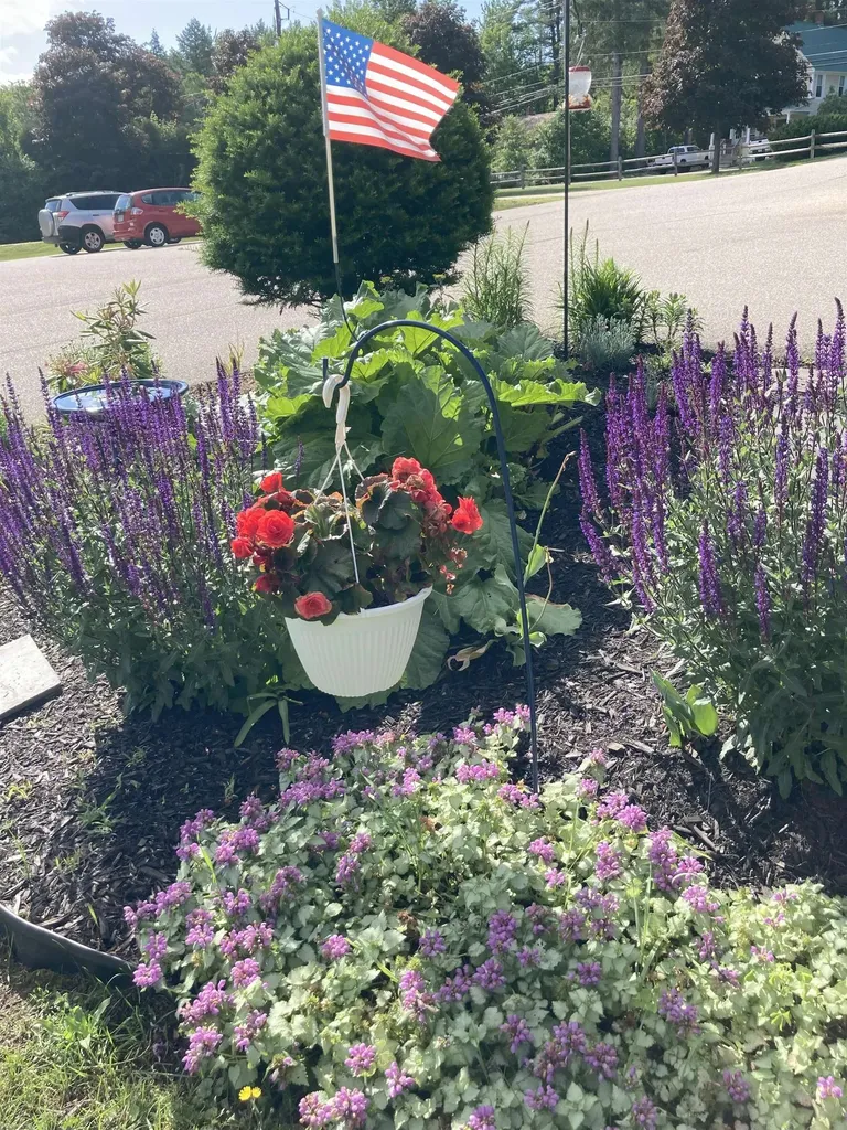 196 East Main Street Conway NH 03818