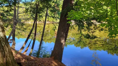 196 East Main Street Conway NH 03818