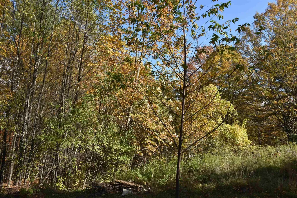 14 Lathrop Road Chelsea VT 05038