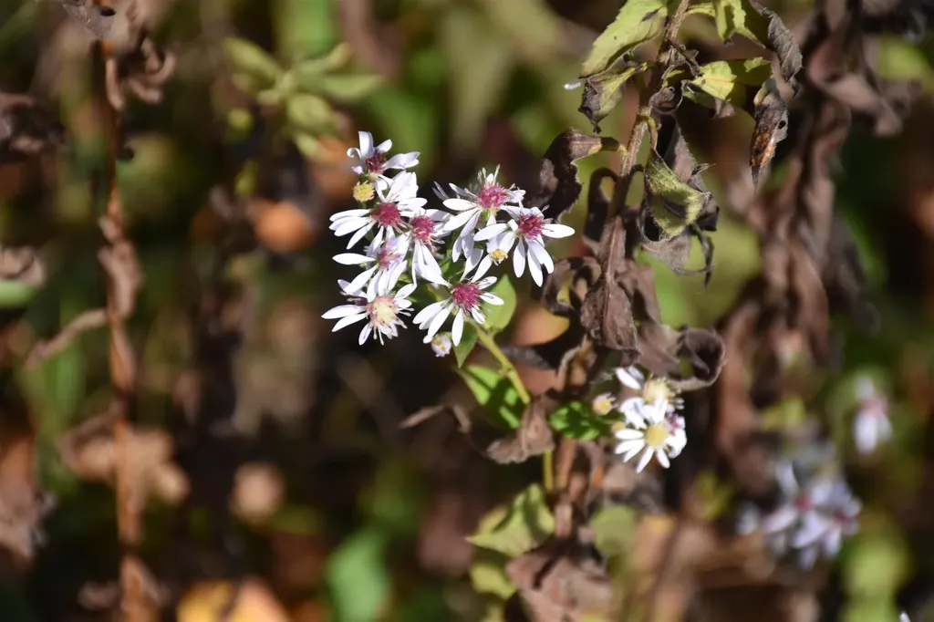 14 Lathrop Road Chelsea VT 05038