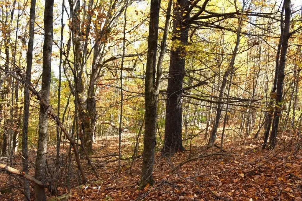 14 Lathrop Road Chelsea VT 05038