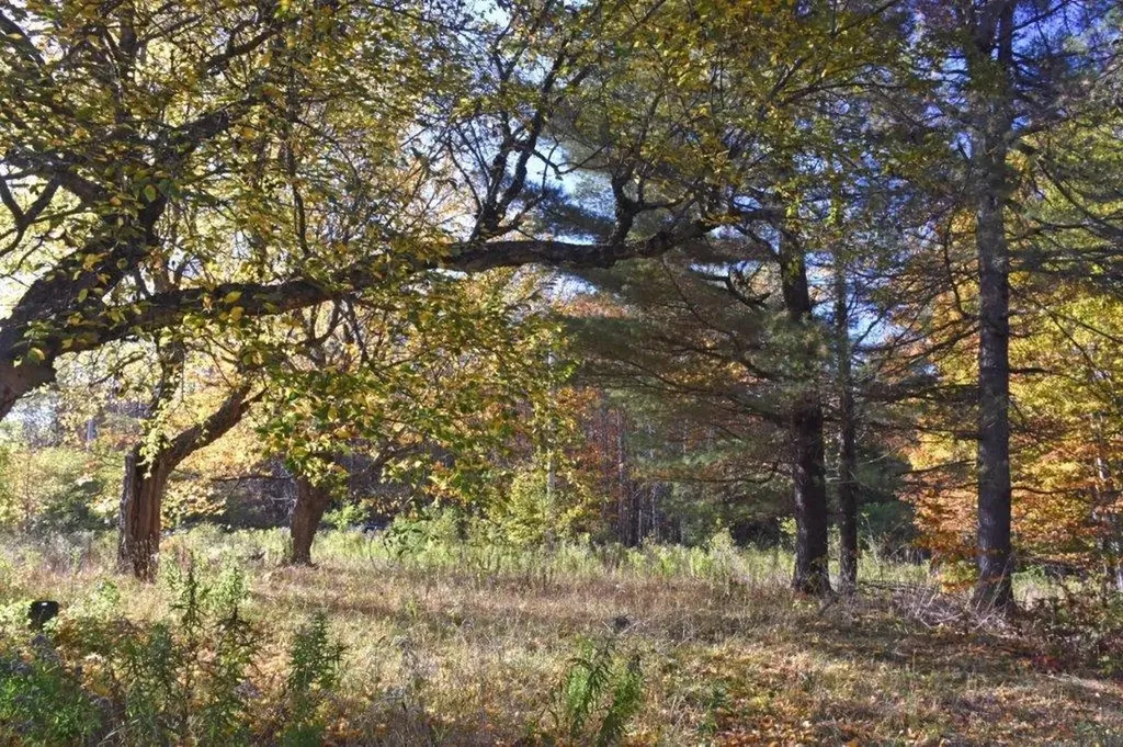 14 Lathrop Road Chelsea VT 05038