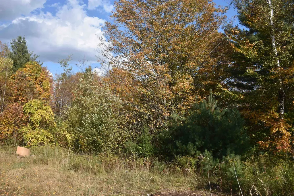 14 Lathrop Road Chelsea VT 05038