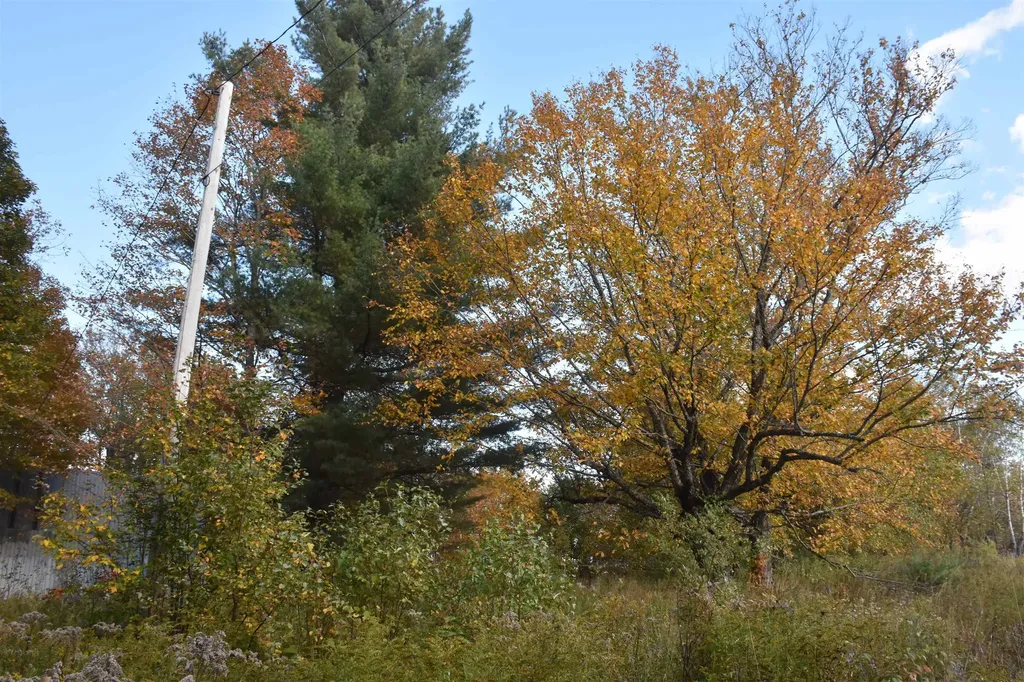 14 Lathrop Road Chelsea VT 05038