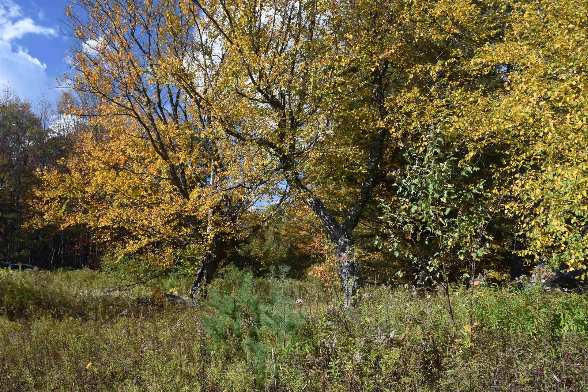 14 Lathrop Road Chelsea VT 05038