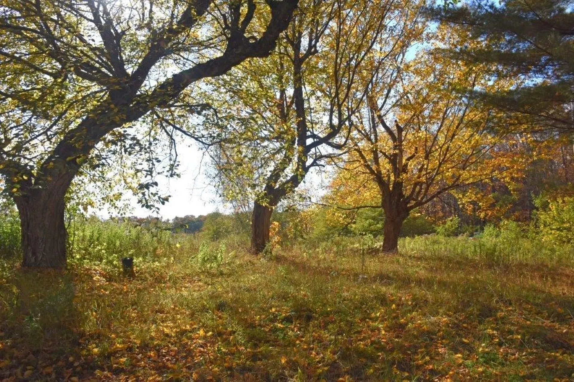 14 Lathrop Road Chelsea VT 05038