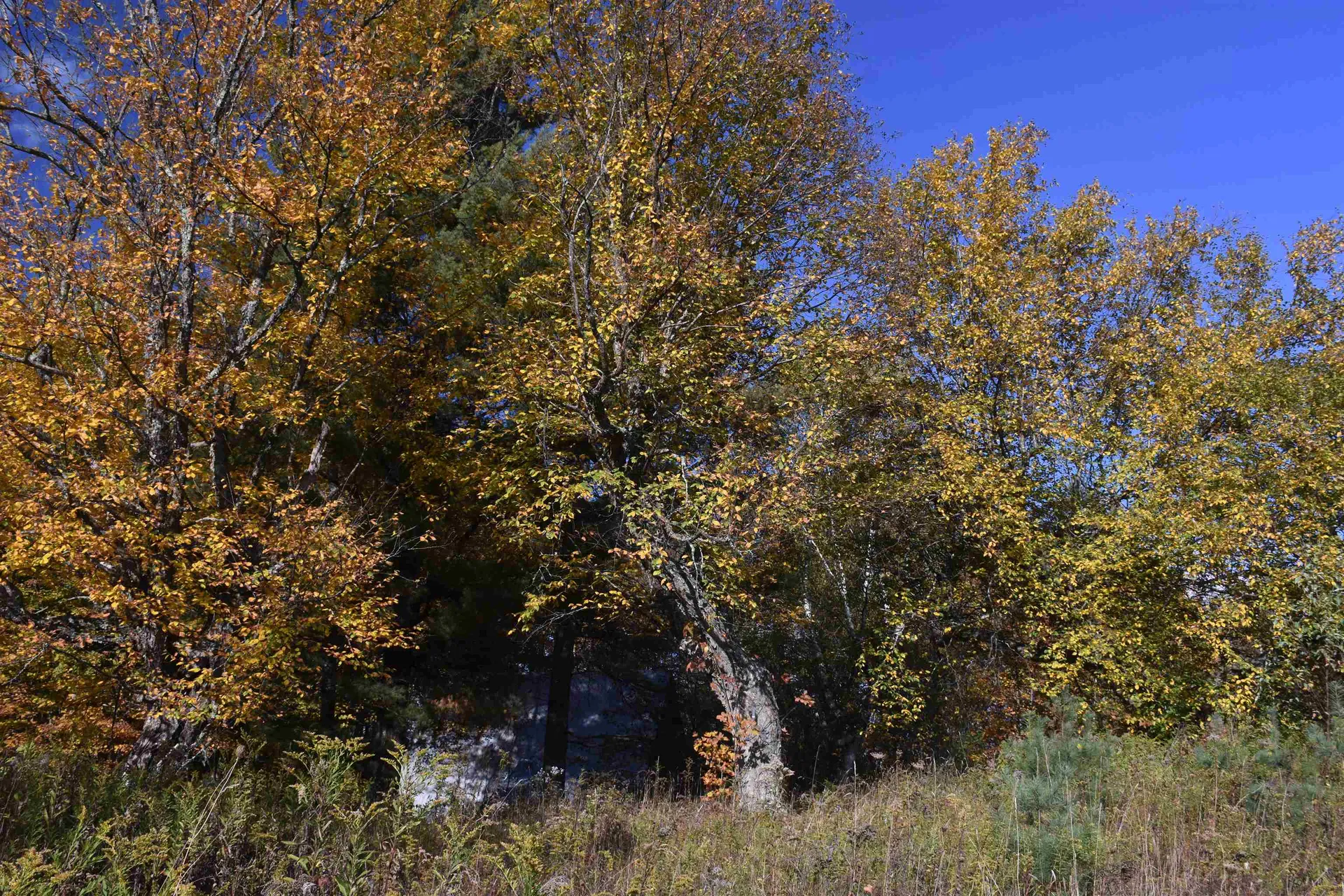 14 Lathrop Road Chelsea VT 05038