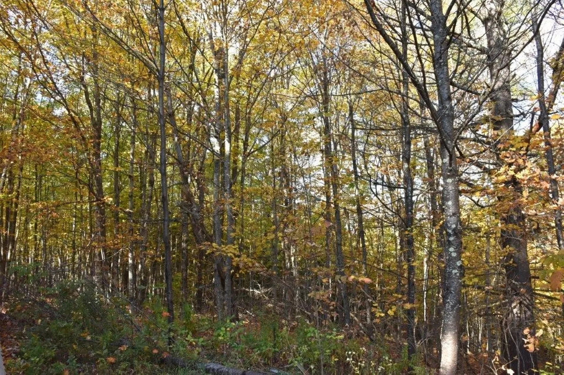 14 Lathrop Road Chelsea VT 05038