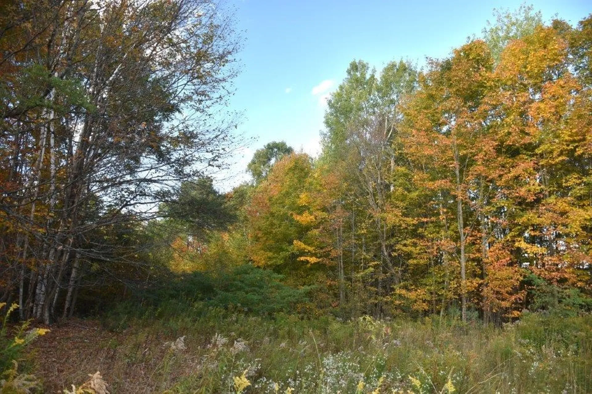 14 Lathrop Road Chelsea VT 05038