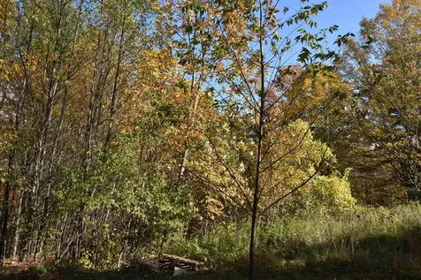 14 Lathrop Road Chelsea VT 05038