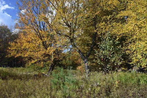 14 Lathrop Road Chelsea VT 05038