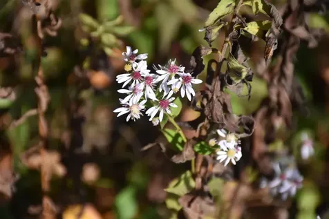 14 Lathrop Road Chelsea VT 05038