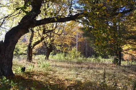 14 Lathrop Road Chelsea VT 05038