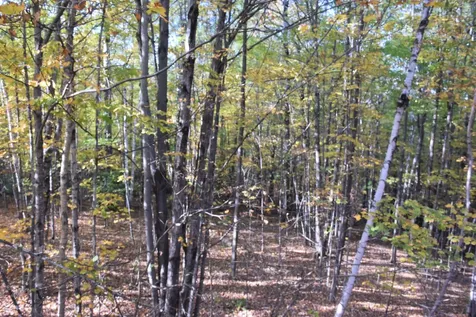 14 Lathrop Road Chelsea VT 05038