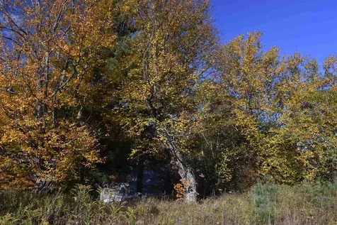 14 Lathrop Road Chelsea VT 05038