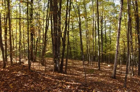 14 Lathrop Road Chelsea VT 05038