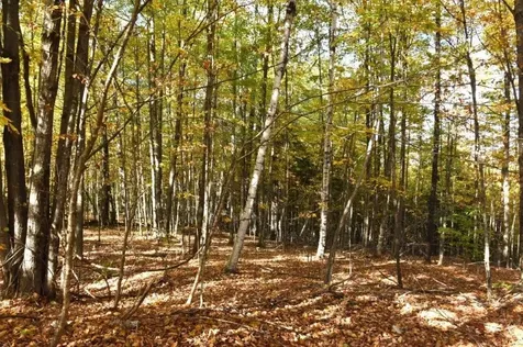 14 Lathrop Road Chelsea VT 05038