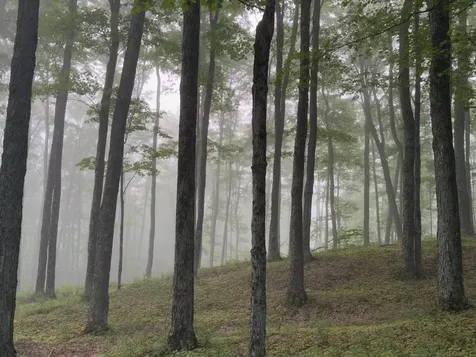 2769 Cloudland Road Pomfret VT 05067