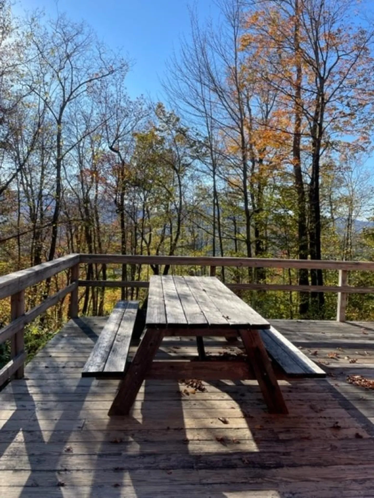 21 Deep Woods Circle Winhall VT 05340