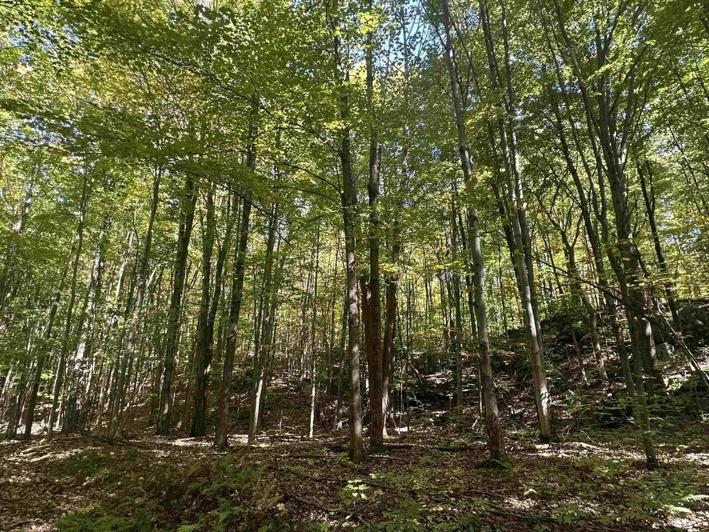 0 North Road Milton VT 05468