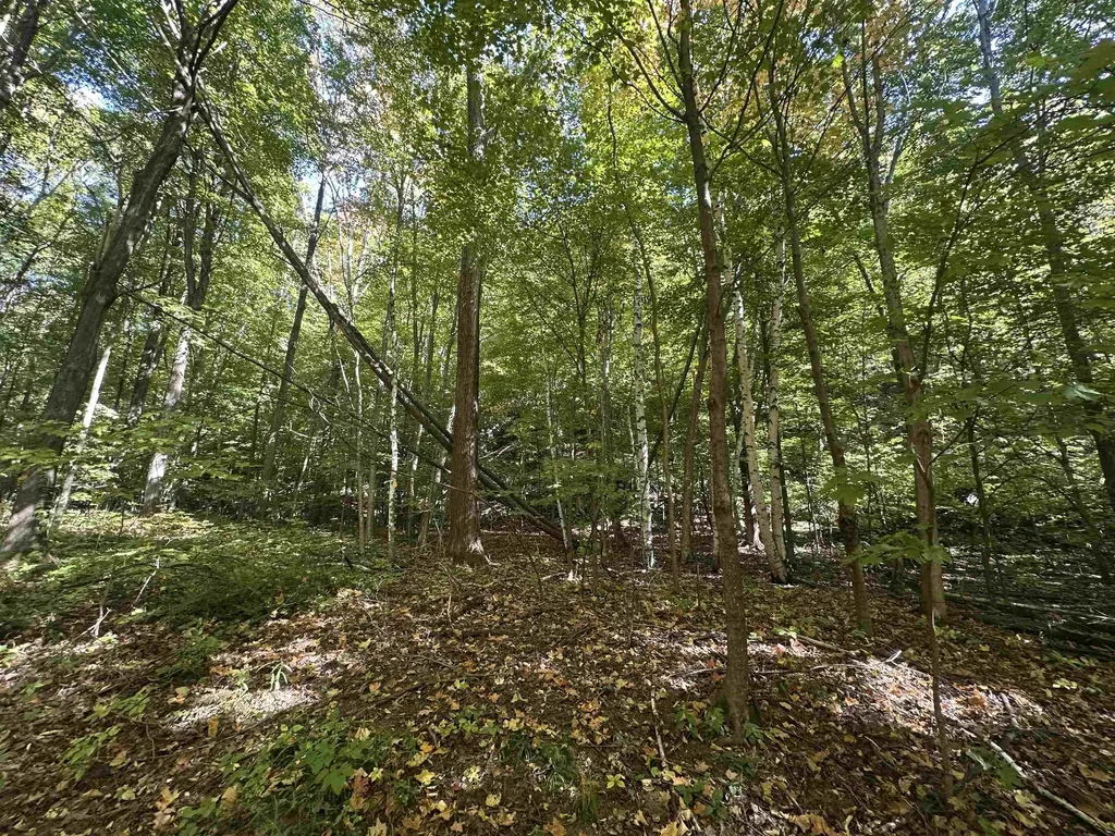 0 North Road Milton VT 05468