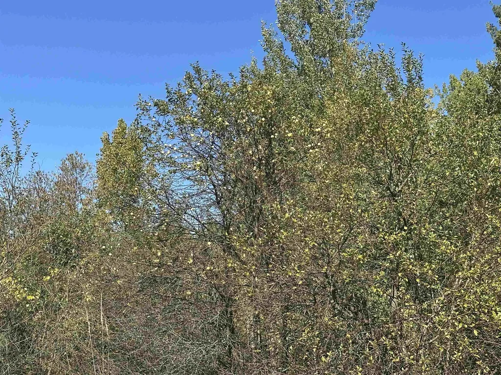 0 North Road Milton VT 05468