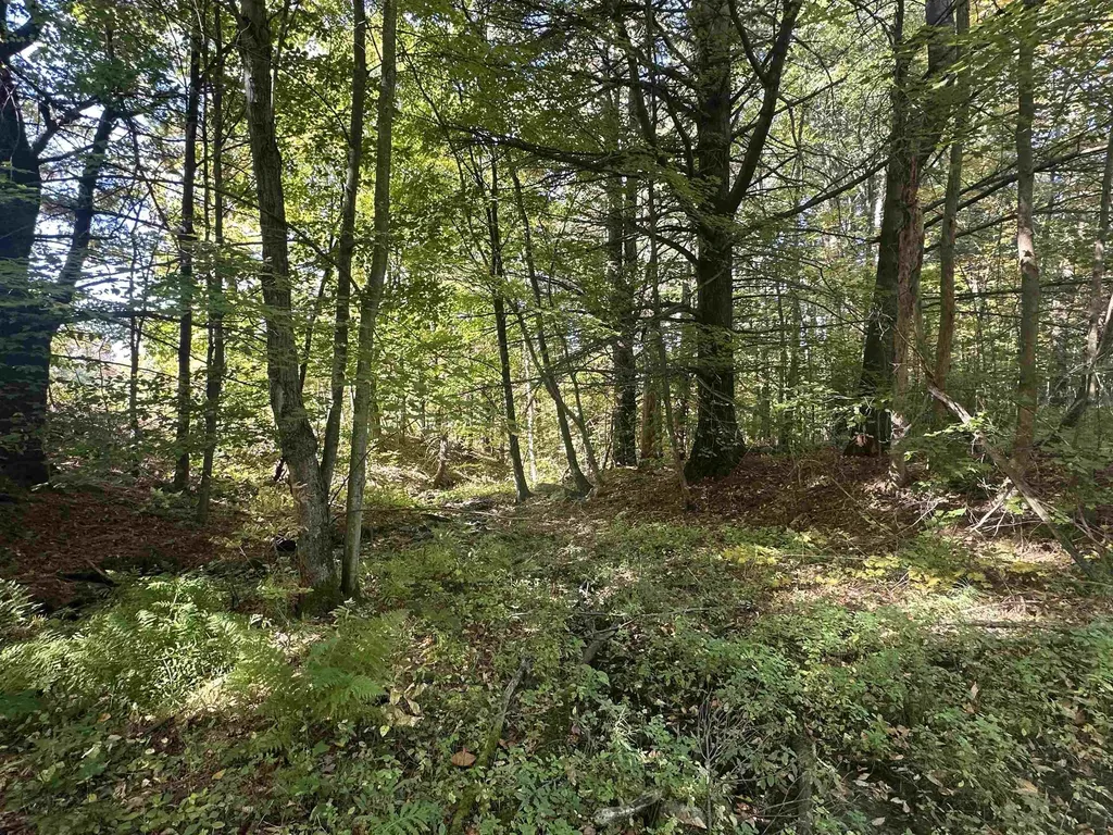 0 North Road Milton VT 05468