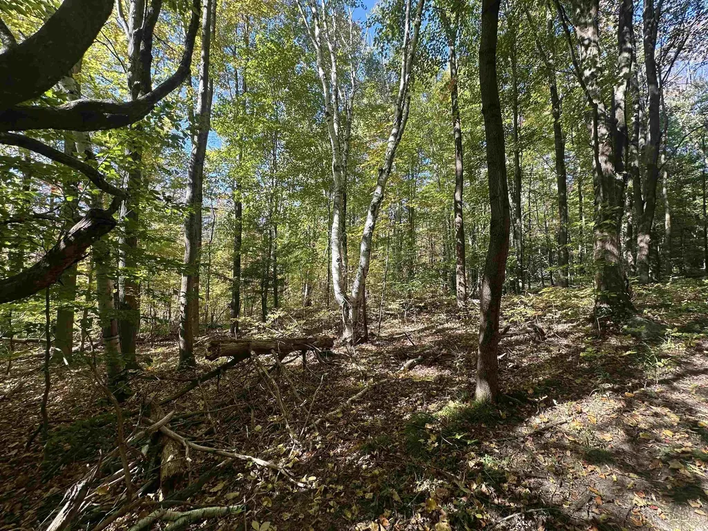 0 North Road Milton VT 05468