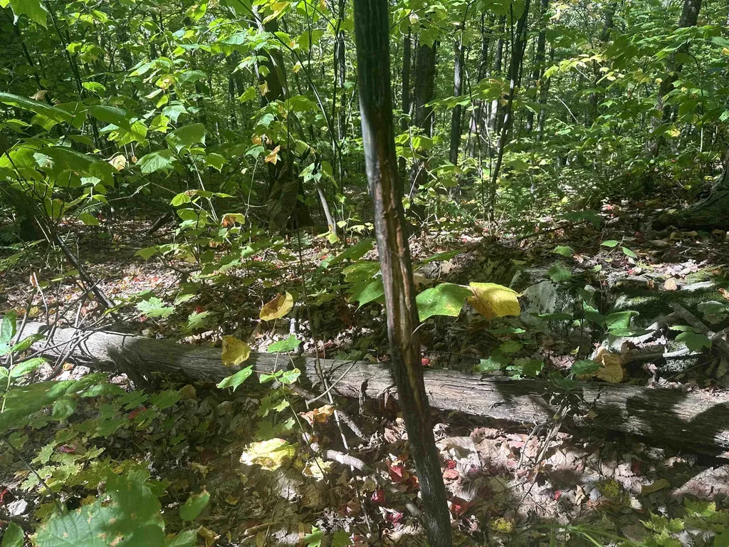 0 North Road Milton VT 05468