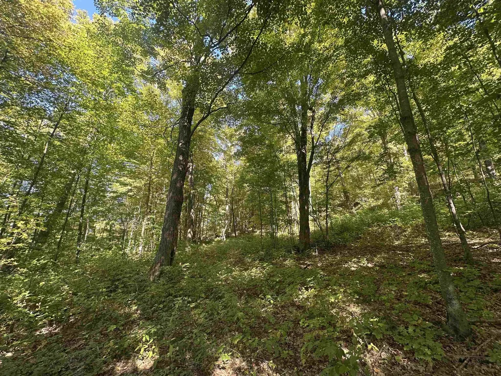 0 North Road Milton VT 05468