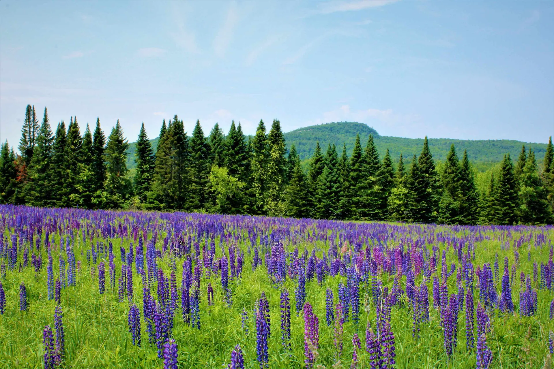 0 North Road Milton VT 05468