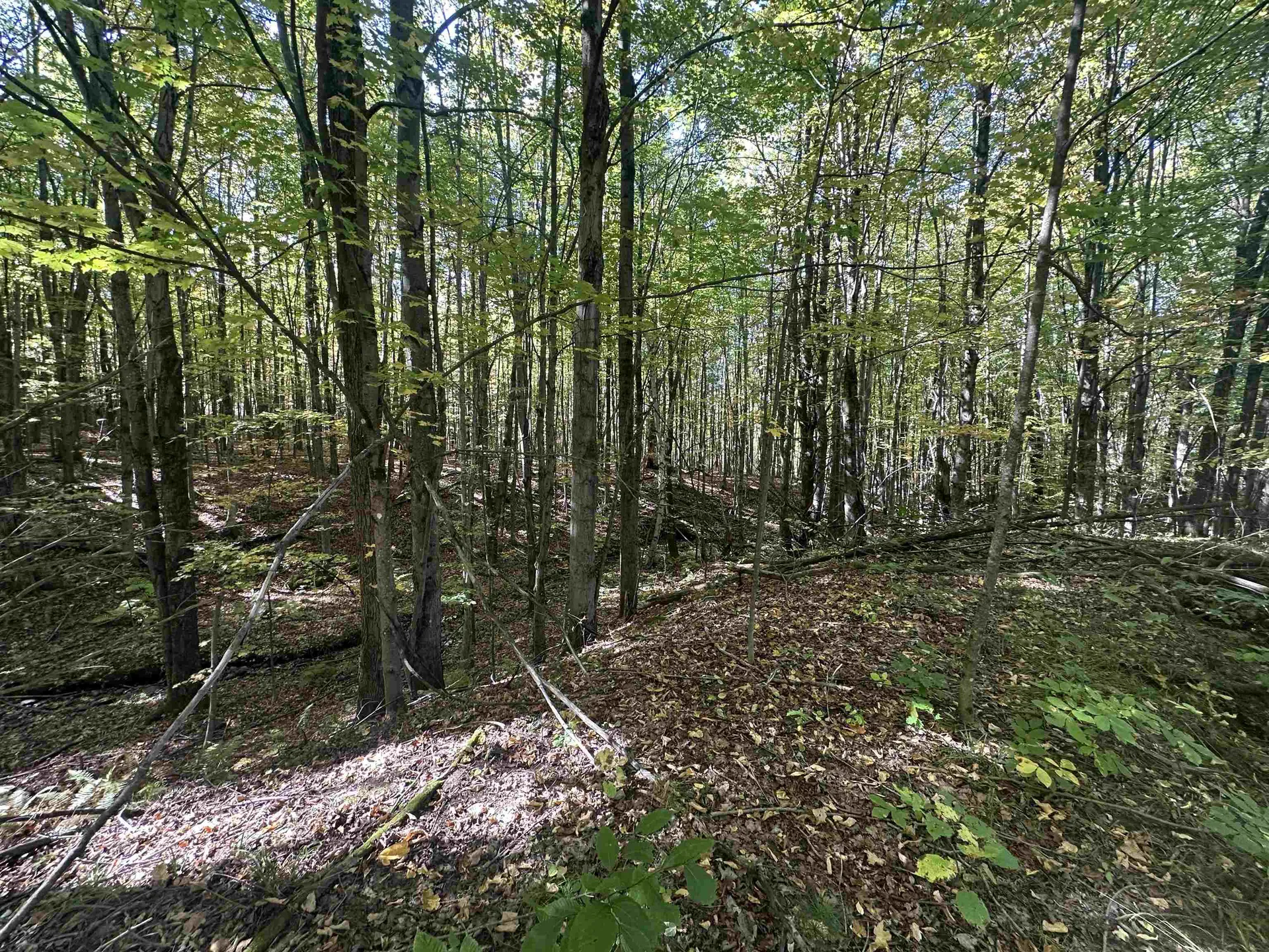 0 North Road Milton VT 05468