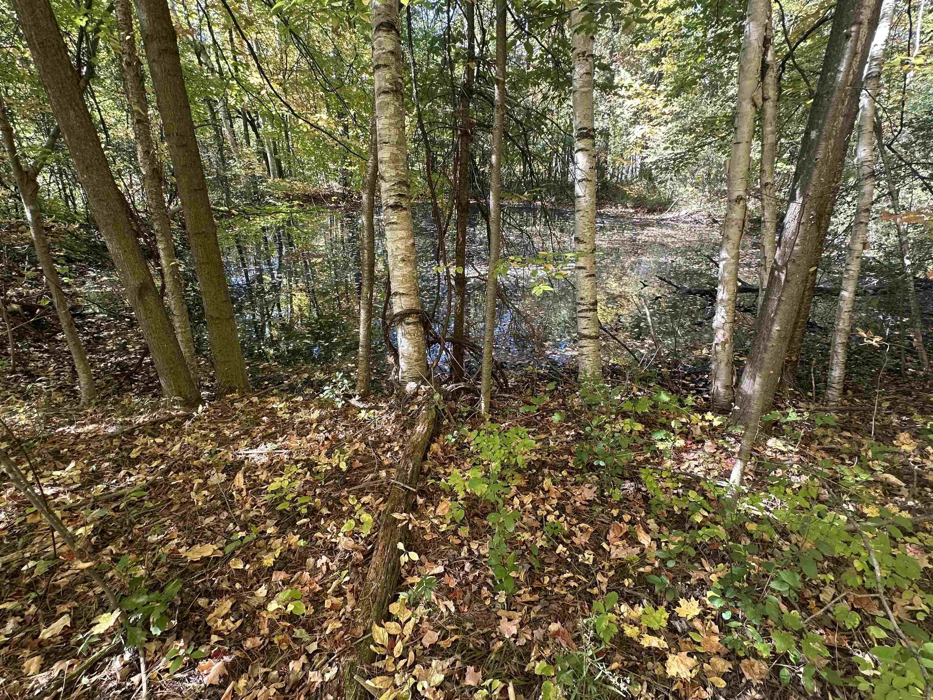 0 North Road Milton VT 05468