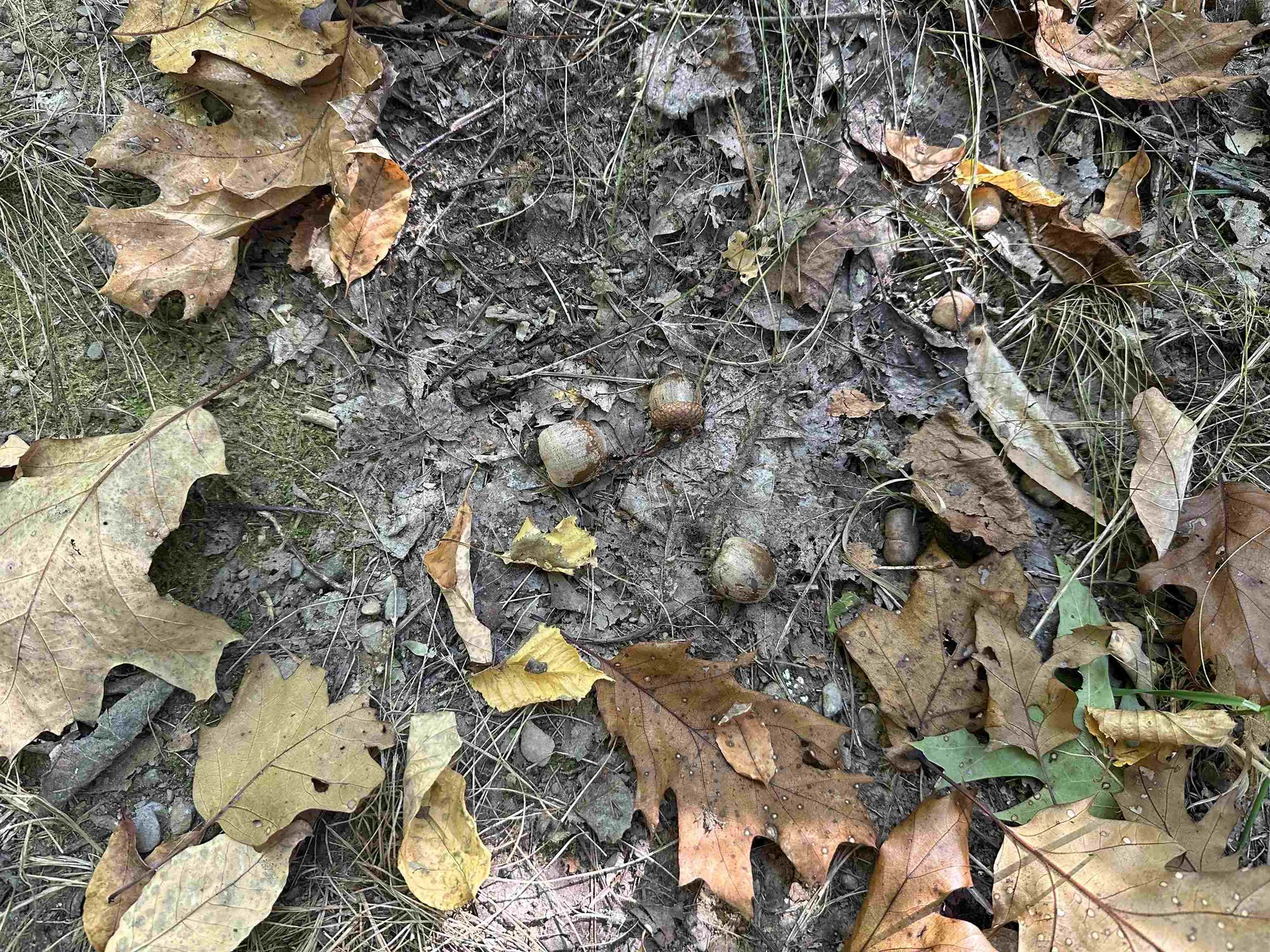 0 North Road Milton VT 05468