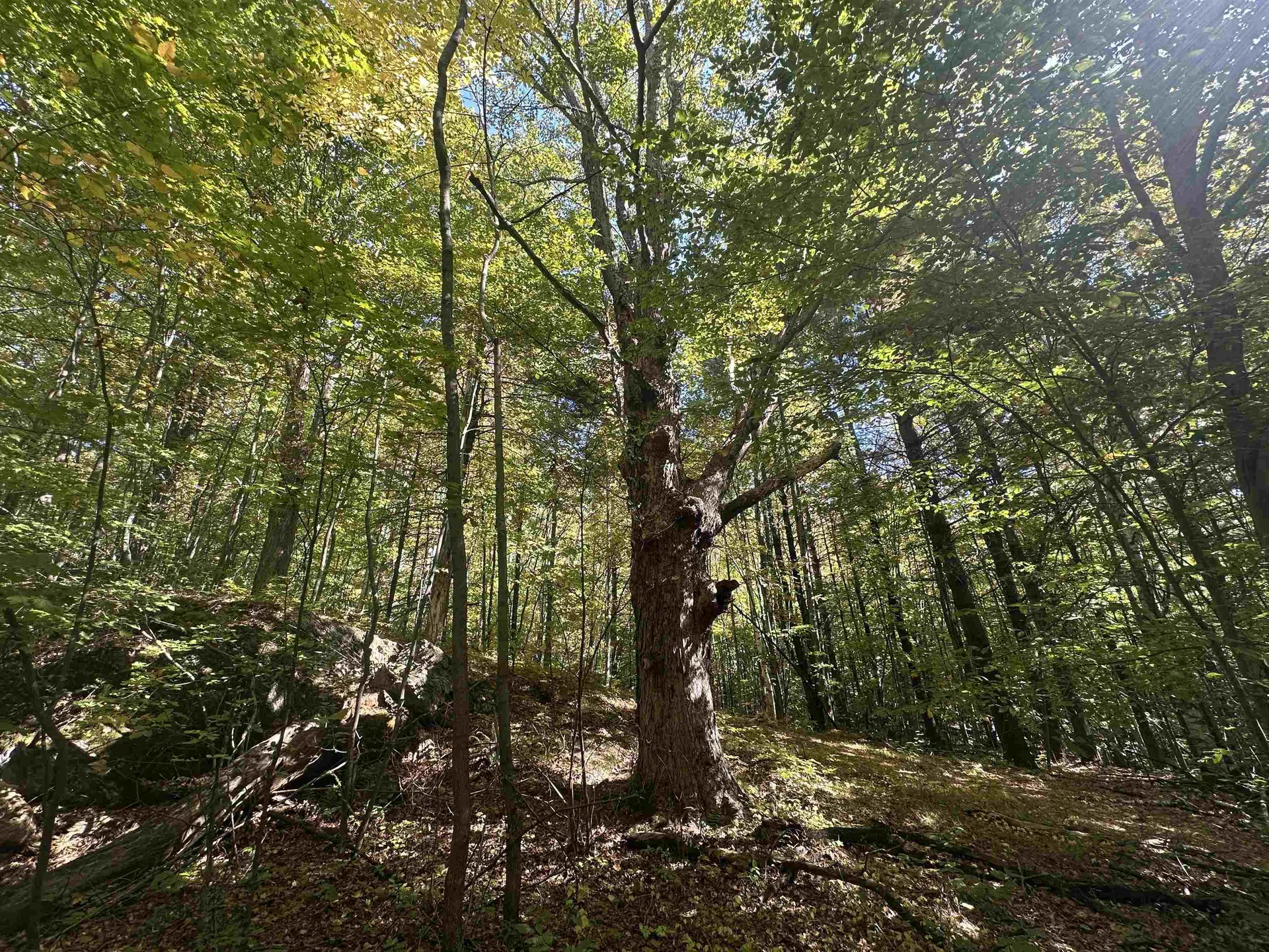 0 North Road Milton VT 05468