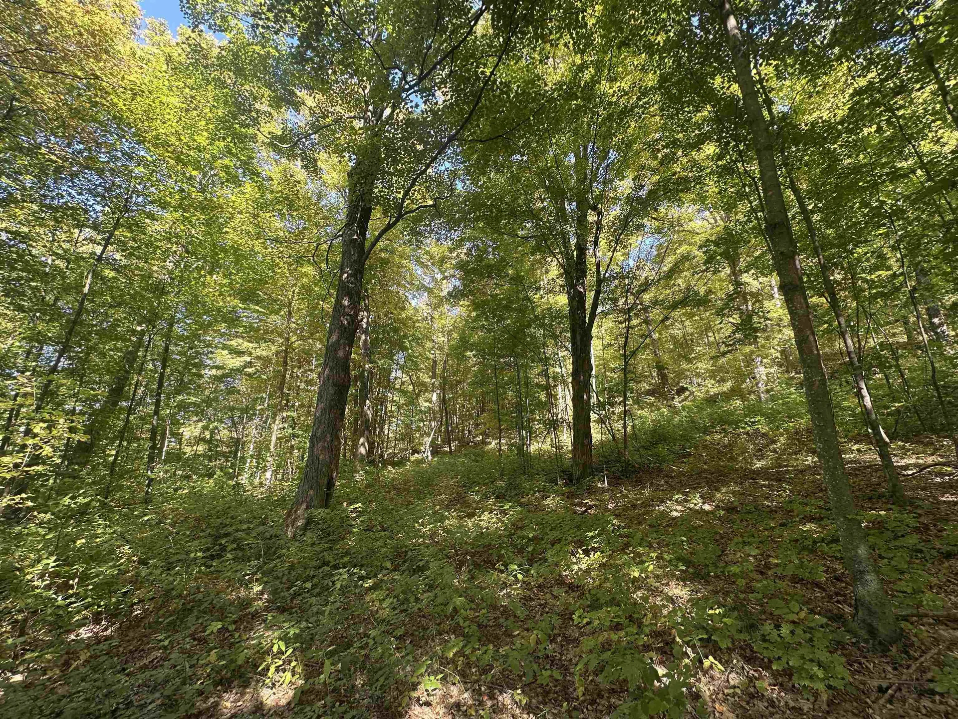 0 North Road Milton VT 05468