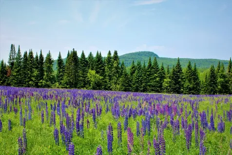 0 North Road Milton VT 05468