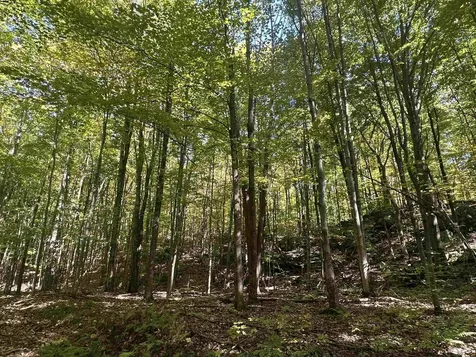 0 North Road Milton VT 05468