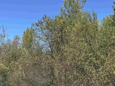 0 North Road Milton VT 05468