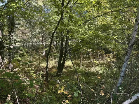 0 North Road Milton VT 05468