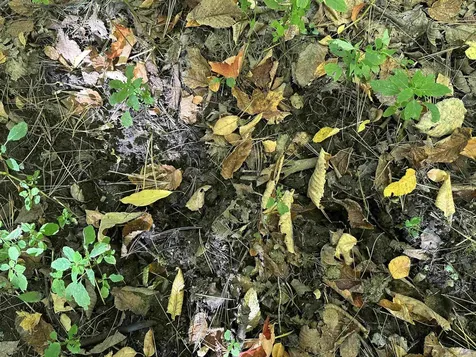 0 North Road Milton VT 05468