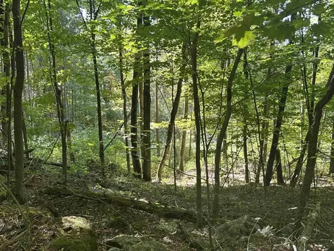 0 North Road Milton VT 05468