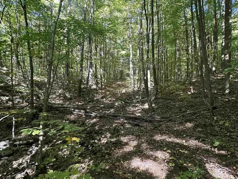 0 North Road Milton VT 05468