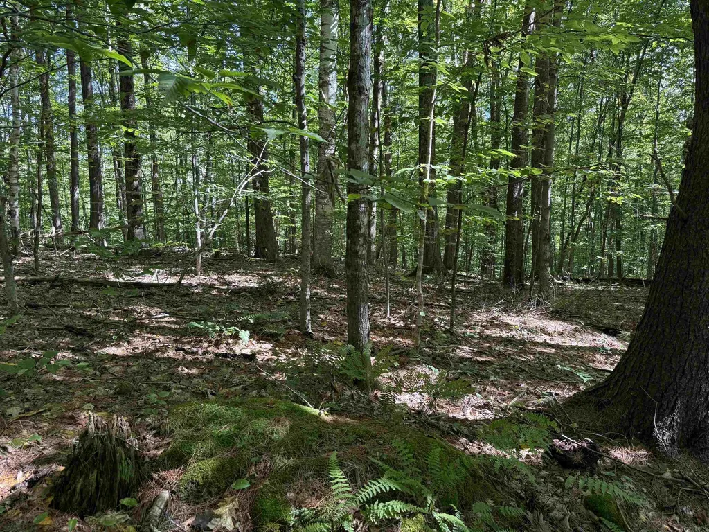 215 & 221 Vt Route 30 Dorset VT 05251