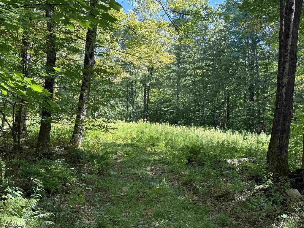 215 & 221 Vt Route 30 Dorset VT 05251