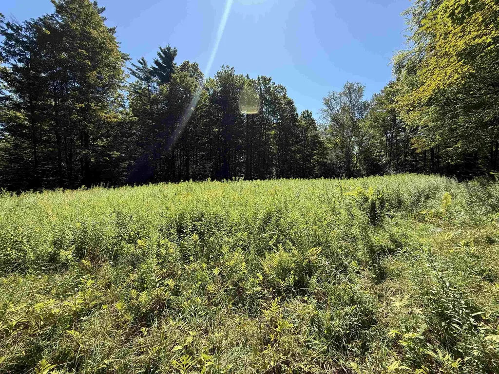 215 & 221 Vt Route 30 Dorset VT 05251