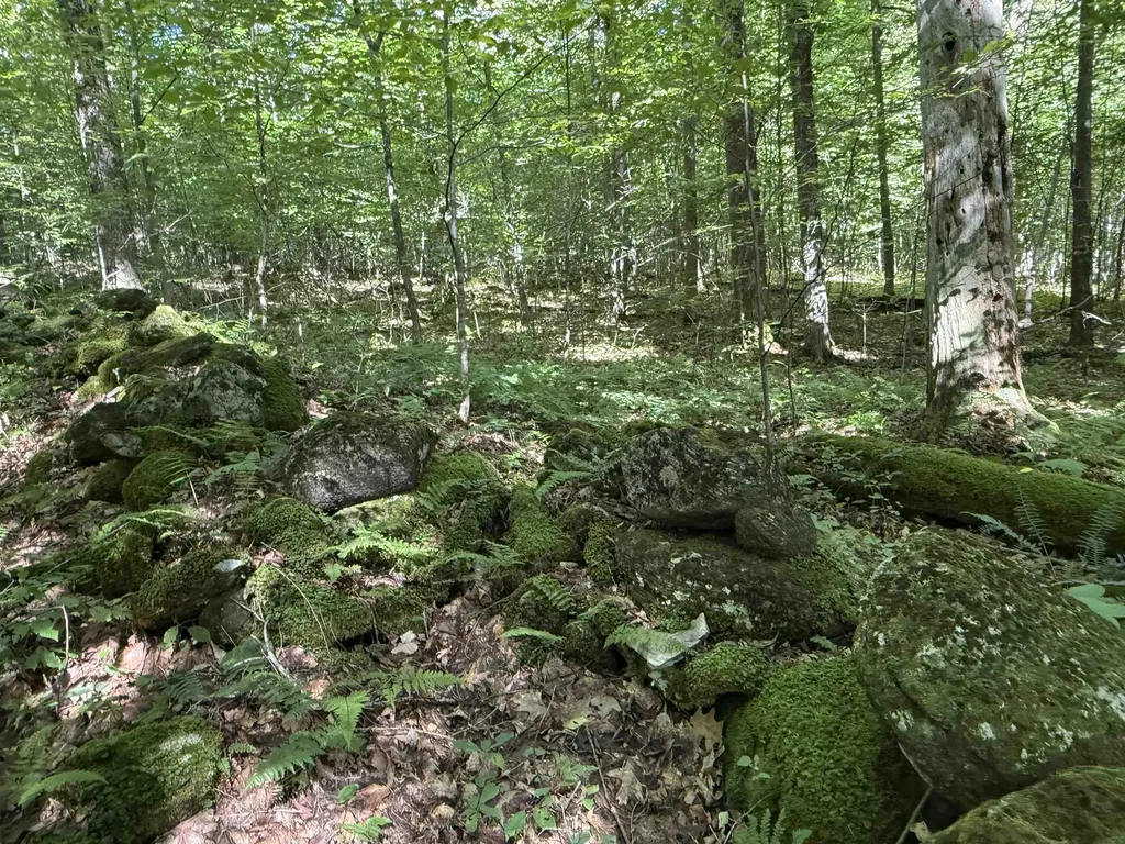 215 & 221 Vt Route 30 Dorset VT 05251