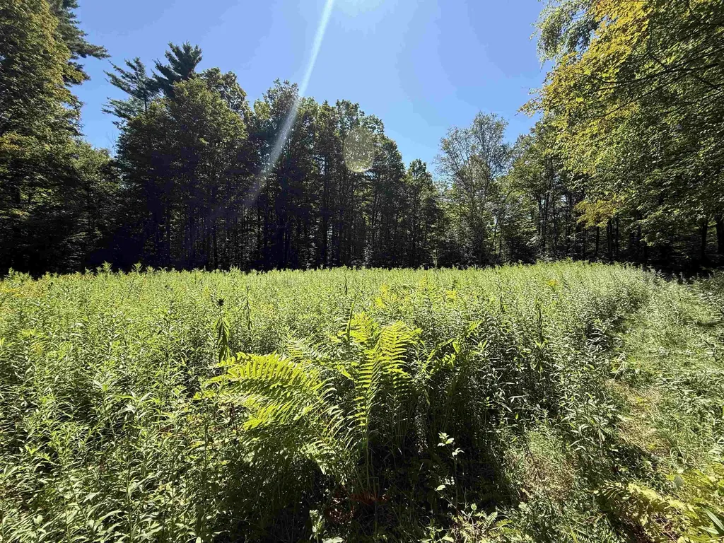 215 & 221 Vt Route 30 Dorset VT 05251